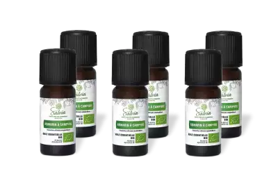 PACK DE 6 x Romarin � camphre - Huile essentielle bio - 10 ml