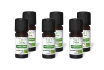 PACK DE 6 x Romarin à camphre - Huile essentielle bio - 10 ml