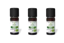 PACK DE 3 x Romarin à cineol - Huile essentielle bio - 10 ml