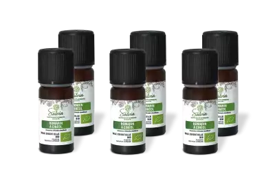PACK DE 6 x Romarin � cineol - Huile essentielle bio - 10 ml