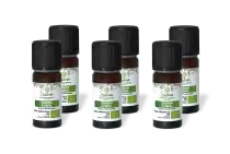 PACK DE 6 x Romarin à cineol - Huile essentielle bio - 10 ml