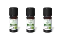 PACK DE 3 x Romarin à verbenone - Huile essentielle bio - 10 ml