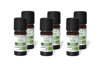 PACK DE 6 x Romarin � verbenone - Huile essentielle bio - 10 ml