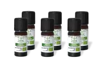PACK DE 6 x Romarin à verbenone - Huile essentielle bio - 10 ml