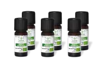 PACK DE 6 x Sarriette des montagnes - Huile essentielle bio - 10 ml