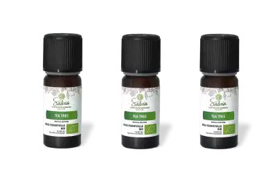 PACK DE 3 x Tea tree - Huile essentielle bio - 10 ml