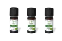PACK DE 3 x Tea tree - Huile essentielle bio - 10 ml