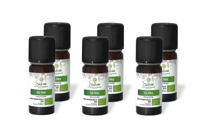 PACK DE 6 x Tea tree - Huile essentielle bio - 10 ml