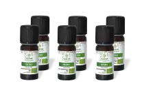 PACK DE 6 x Tea tree - Huile essentielle bio - 10 ml