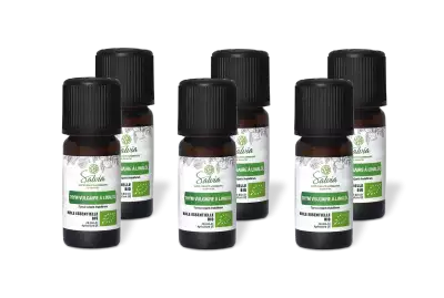PACK DE 6 x Thym � linalol - Huile essentielle bio - 10 ml