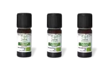 PACK DE 3 x Ylang Ylang complète - Huile essentielle bio - 10 ml