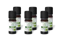 PACK DE 6 x Ylang Ylang complète - Huile essentielle bio - 10 ml