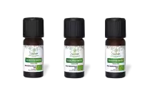 PACK DE 3 x Eucalyptus smithii - Huile essentielle bio - 10 ml