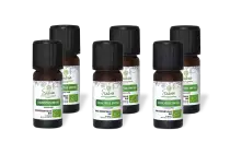 PACK DE 6 x Eucalyptus smithii - Huile essentielle bio - 10 ml