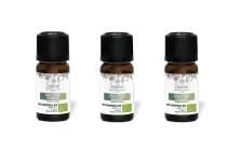 PACK DE 3 x Gaulthérie - Huile essentielle bio - 10 ml