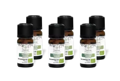 PACK DE 6 x Gaulth�rie - Huile essentielle bio - 10 ml