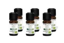 PACK DE 6 x Gaulthérie - Huile essentielle bio - 10 ml
