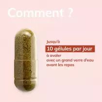 comment biobio gelules.jpg