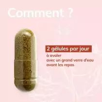 PACK DE 3 x BioBio Cynorrhodon - 60 gélules - Bio