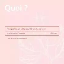 PACK DE 3 x BioBio Cynorrhodon - 60 gélules - Bio