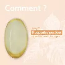Allerg\'aroma - 40 capsules - Bio - Huile végétale et essentielle