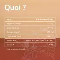 Bioboost - 90 gélules - Bio - Plantes - LOT DE 3
