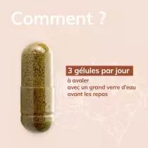 Bioboost - 90 gélules - Bio - Plantes