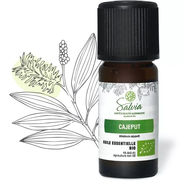 ALMAFLORE Huile Essentielle de cannelle de ceylan Bio 10ML