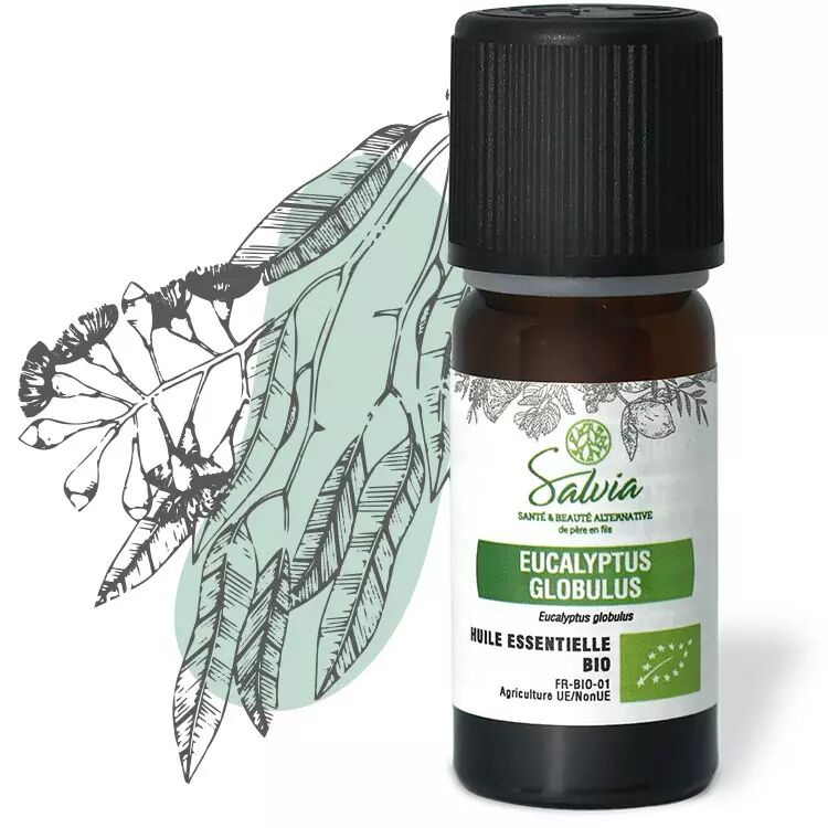 Huile essentielle d'Eucalyptus globulus : quels sont ses bienfaits