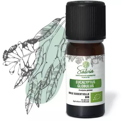 Eucalyptus globulus - Huile essentielle bio* - 10 ml