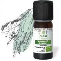 Eucalyptus globulus - Huile essentielle bio* - 10 ml