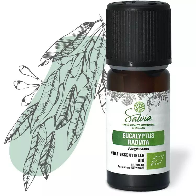 L'huile essentielle d'Eucalyptus radiata bio Salvia