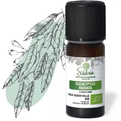 Eucalyptus radiata - Huile essentielle bio* - 10 ml