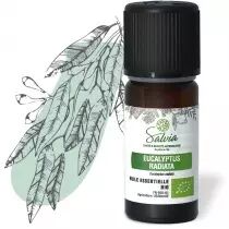Eucalyptus radiata - Huile essentielle bio* - 10 ml