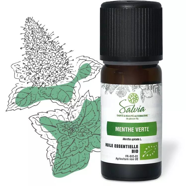 Huile essentielle menthe verte bio (menthe douce) - Achat