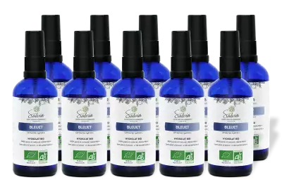 PACK DE 10 x Bleuet - Hydrolat bio - 100 ml