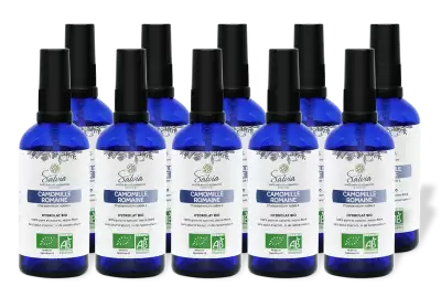 PACK DE 10 x Camomille romaine - Hydrolat bio - 100 ml