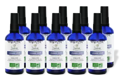 PACK DE 10 x Lavande vraie - Hydrolat bio - 100 ml