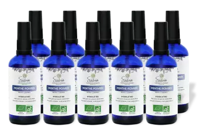 PACK DE 10 x Menthe poivr�e - Hydrolat bio - 100 ml