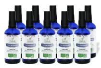 PACK DE 10 x Menthe poivrée - Hydrolat bio - 100 ml