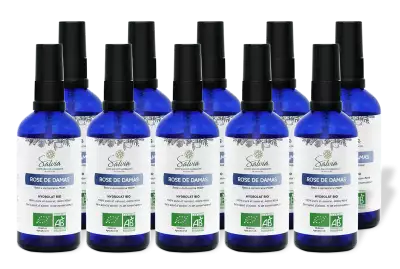 PACK DE 10 x Rose de Damas - Hydrolat bio - 100 ml