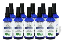 PACK DE 10 x Rose de Damas - Hydrolat bio - 100 ml