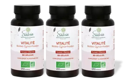 PACK DE 3 x BioBio Cynorrhodon - 60 g�lules - Bio