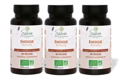 PACK DE 3 x Bioboost - 90 g�lules - Bio - Plantes