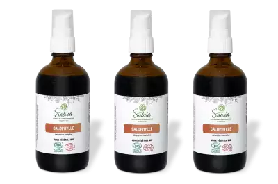 PACK DE 3 x Calophylle - Huile v�g�tale bio - 100 ml