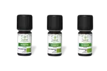 PACK DE 3 x Pin maritime - Huile essentielle bio - 5 ml