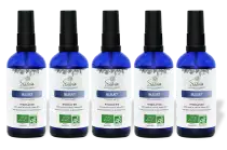PACK DE 5 x Bleuet - Hydrolat bio - 100 ml
