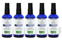 PACK DE 5 x Camomille romaine - Hydrolat bio - 100 ml