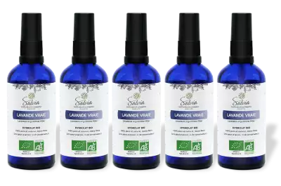 PACK DE 5 x Lavande vraie - Hydrolat bio - 100 ml