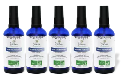 PACK DE 5 x Menthe poivr�e - Hydrolat bio - 100 ml